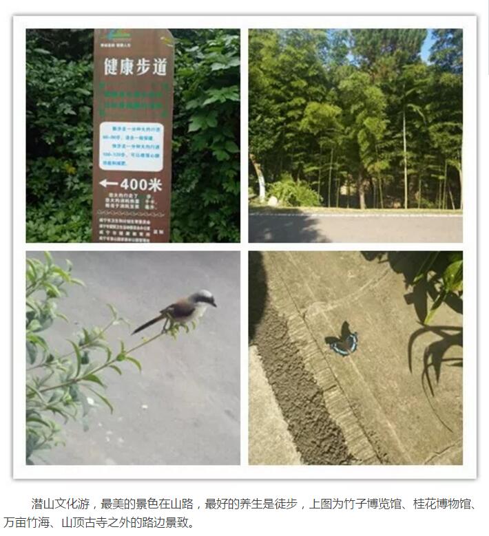 Ӣ��������ϣ��(williamhill)Ψһ���Ĺٷ���վ