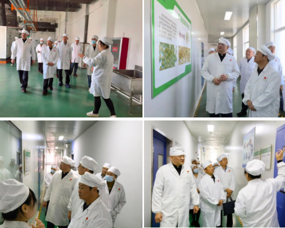 英国·威廉希尔(williamhill)唯一中文官方网站