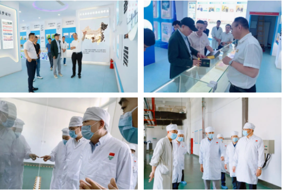 英国·威廉希尔(williamhill)唯一中文官方网站